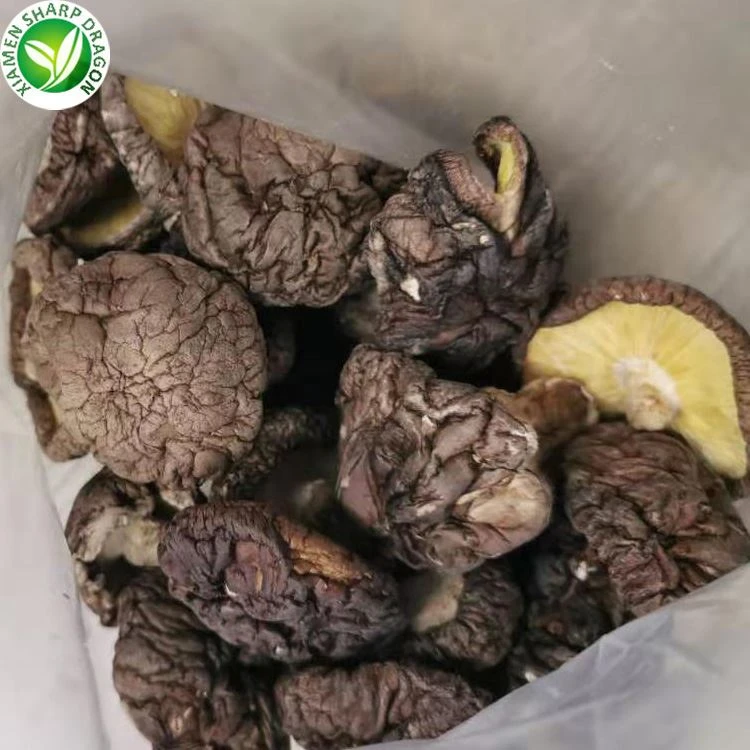 dry mushroom buyers