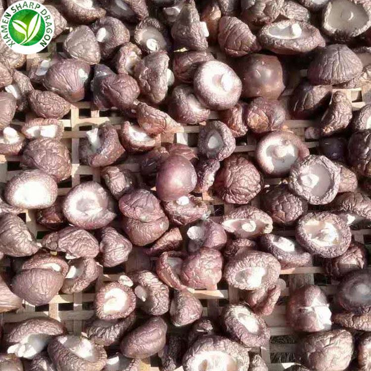 dried shiitake mushroom buy