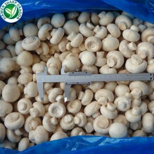Champignon qo'ziqorinining oziqlanishi