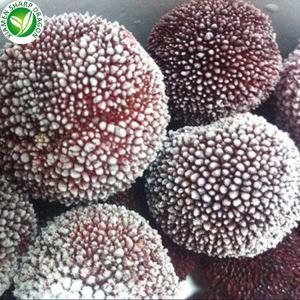 Sotish uchun Xitoyning eng yaxshi muzlatilgan bayberry