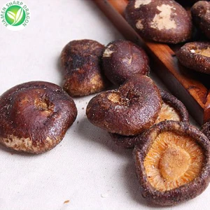Quritilgan Shiitake qo'ziqorin atıştırması