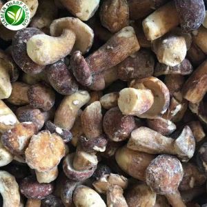 Porcini qo'ziqorin narxi