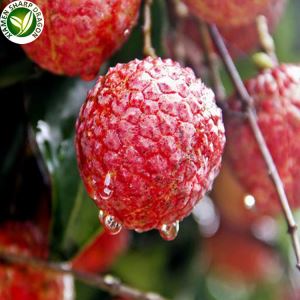 Lychee meva mavsumi