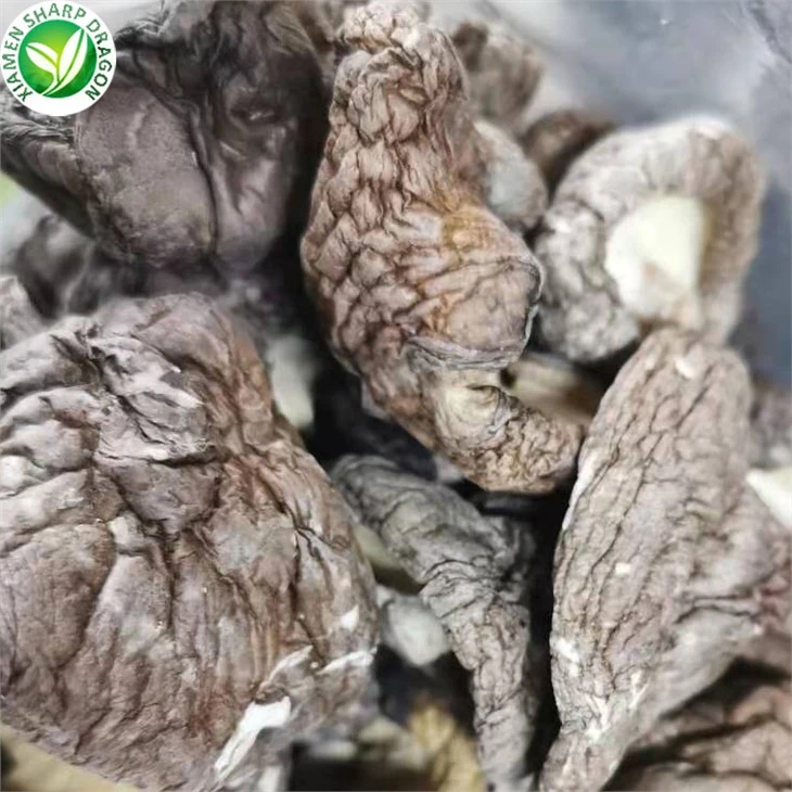 Dried Mushrooms Coles