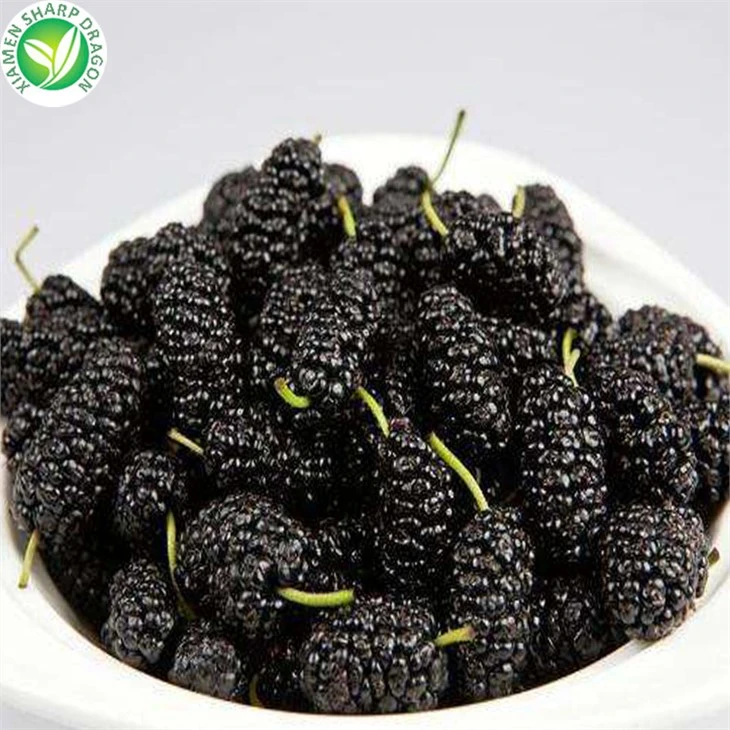 Frozen Mulberries Retail Packaging
